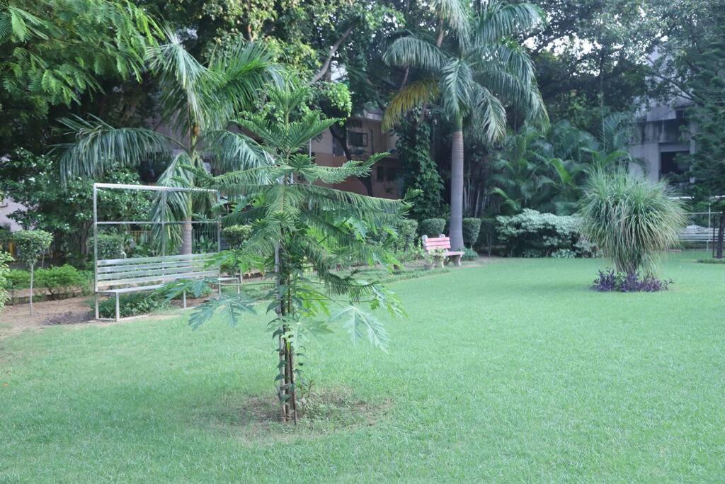 Divine India Service Apartment 3Bhk,B57 Sarita Vihar,Apollo Nueva Delhi Exterior foto